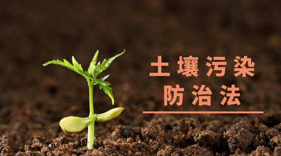 中卫市组织开展土壤污染防治条列立法调研座谈会_工作