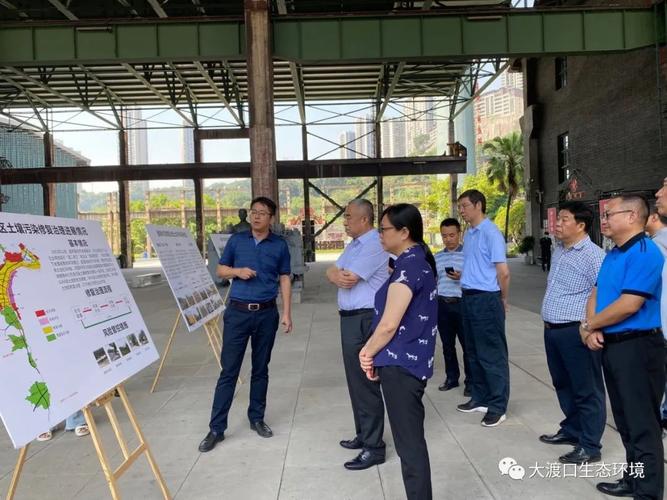 市生态环境局党组书记,局长辛世杰调研大渡口区土壤污染治理工作